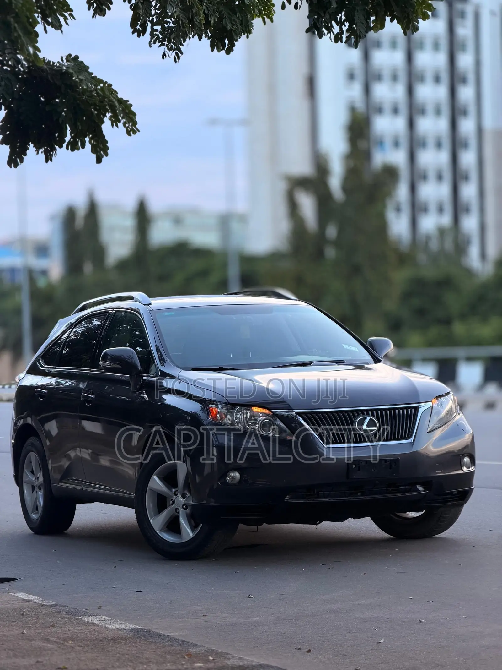 Lexus RX 350 2010 Gray