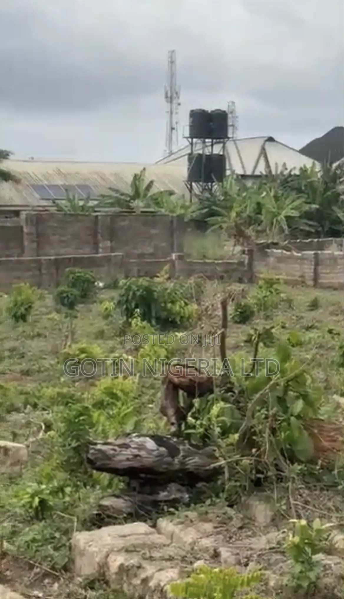 Fenced 100×100ft Corner Plot at Aruogba, Airport Road