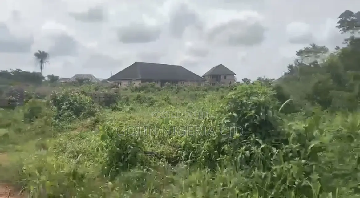 100×100ft Land, 5 Poles From Tarred Road, Iguadolor