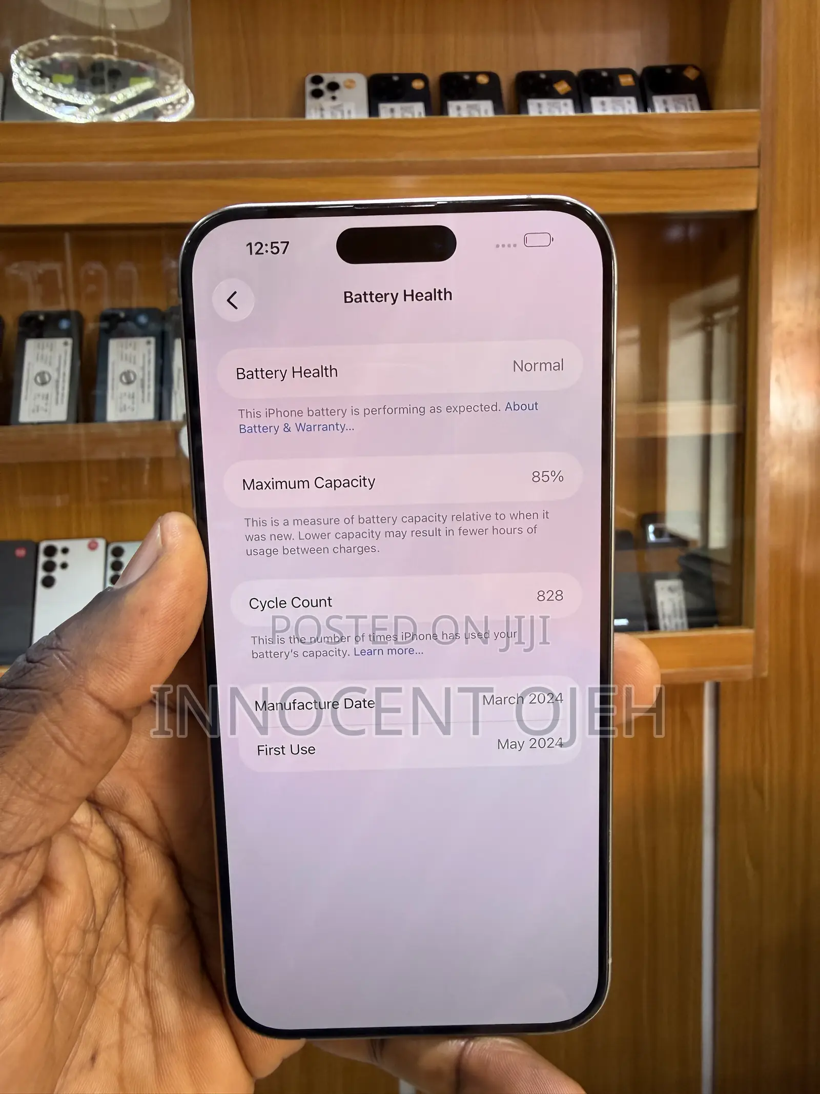 Apple iPhone 15 Pro Max 256 GB Gray