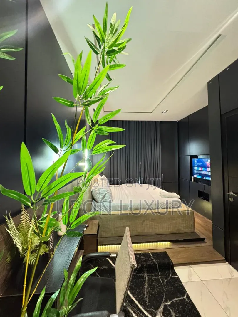 Luxury 1 Bedroom Duplex in a Save and Secured Environment