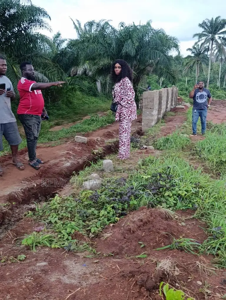 Buy in Dike Garden 2.0 Where Growth Is Leadng Not Where Everone Buying