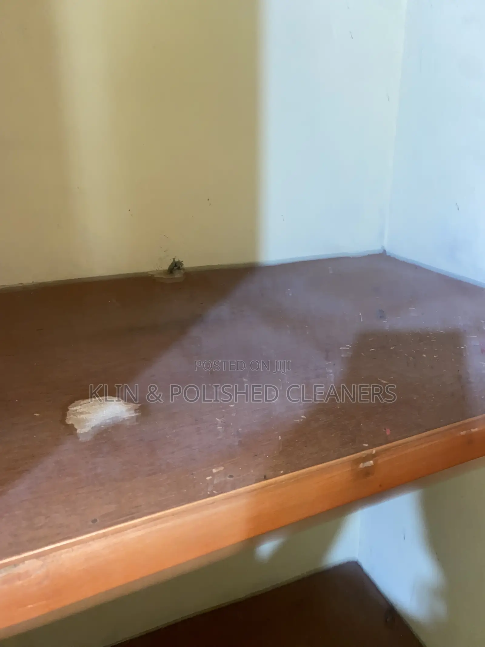 Move in Cleaning Service