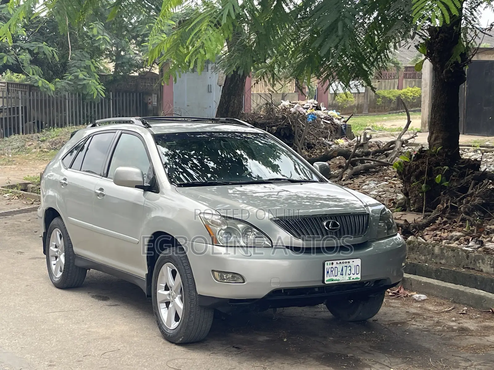 Lexus RX 330 2004 Gray