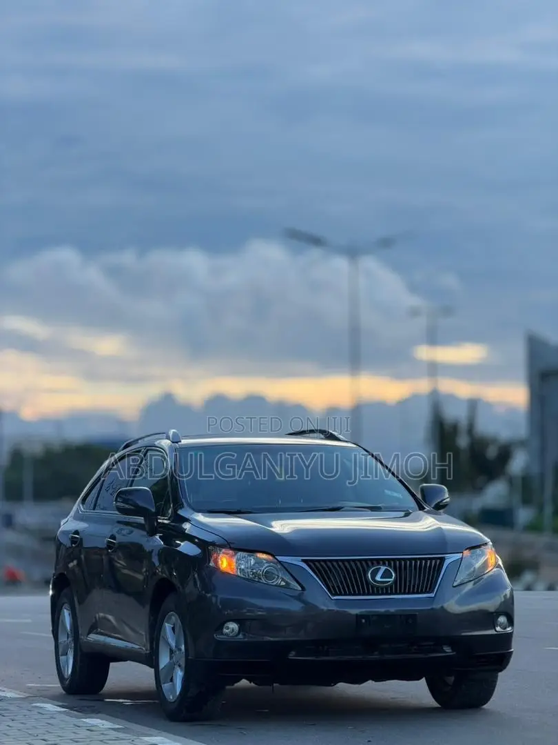 Lexus RX 350 2010 Gray