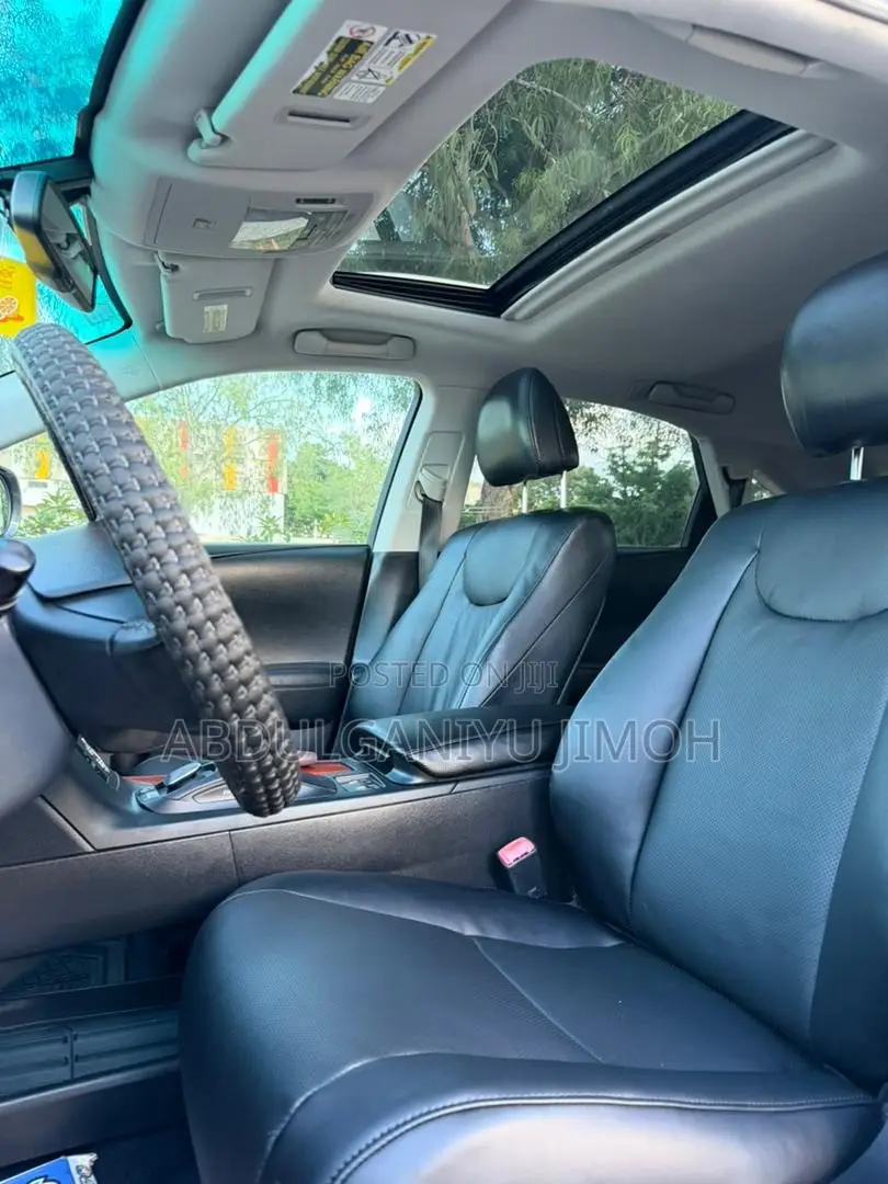 Lexus RX 350 2010 Gray