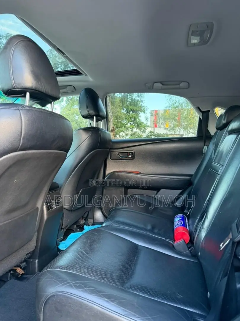 Lexus RX 350 2010 Gray