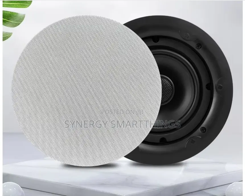 25W Passive Speaker