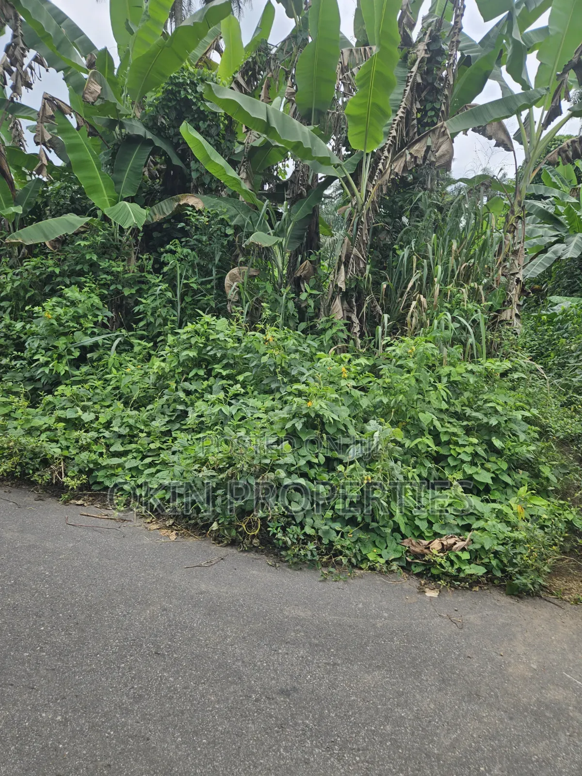250 Acres of Land at Iragbiji