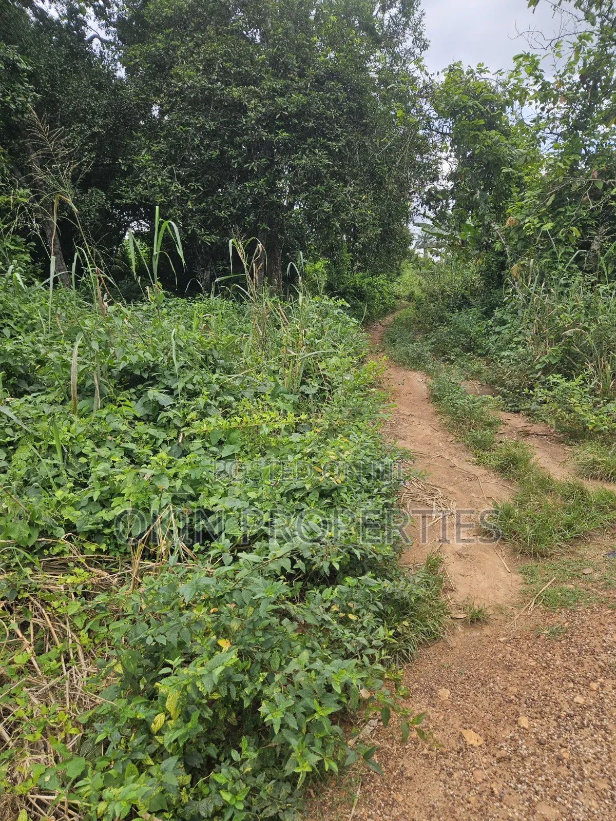 250 Acres of Land at Iragbiji