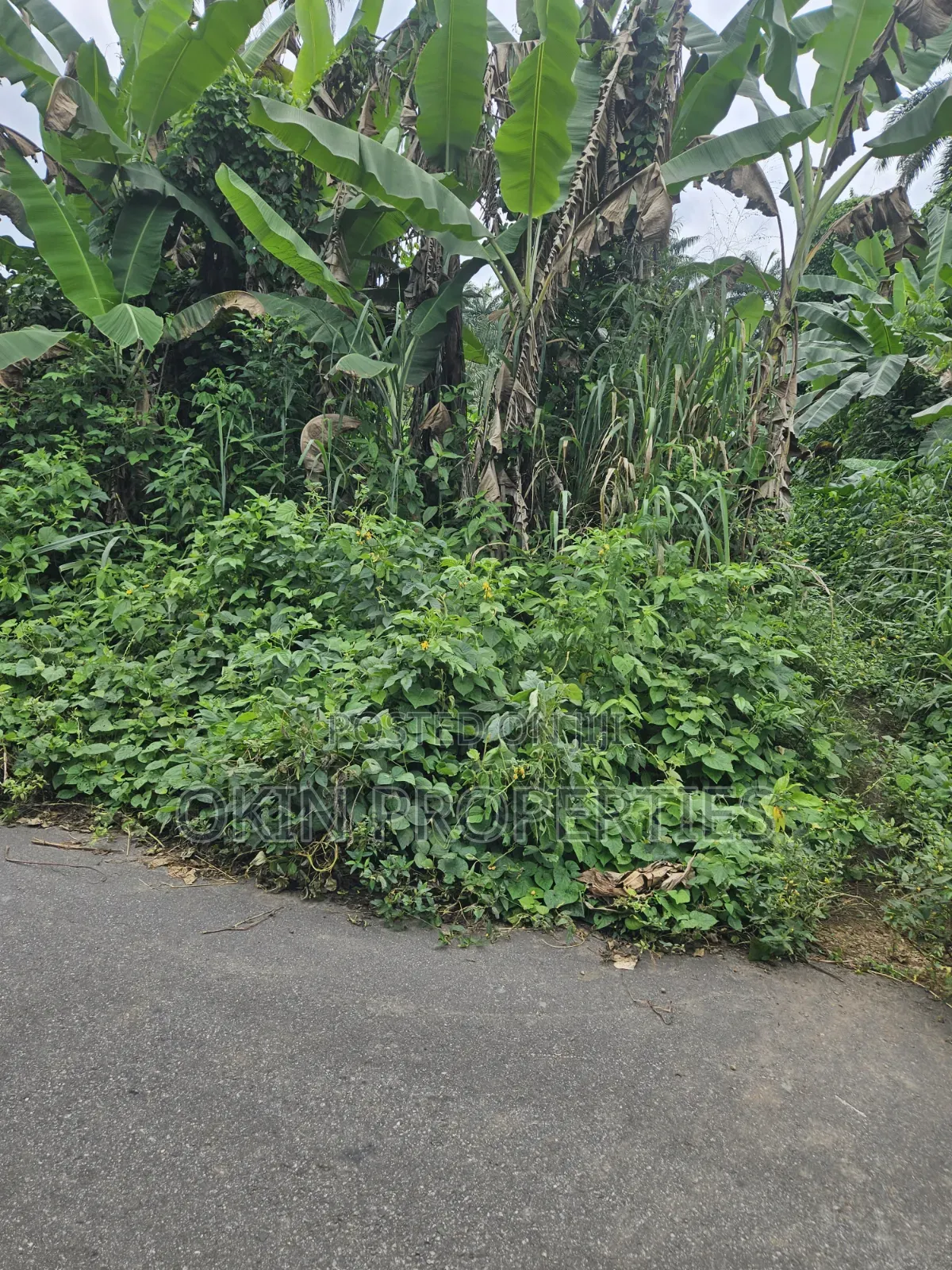 105 Acres of Land Iragbiji