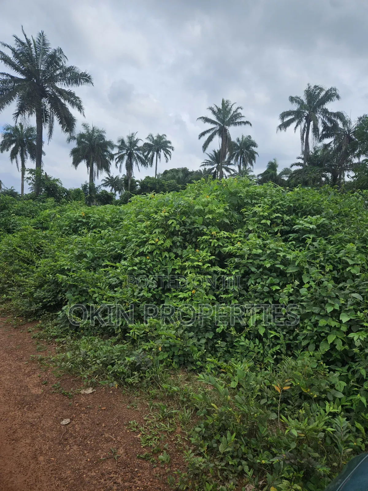 8 Acres of Land at Oore Village