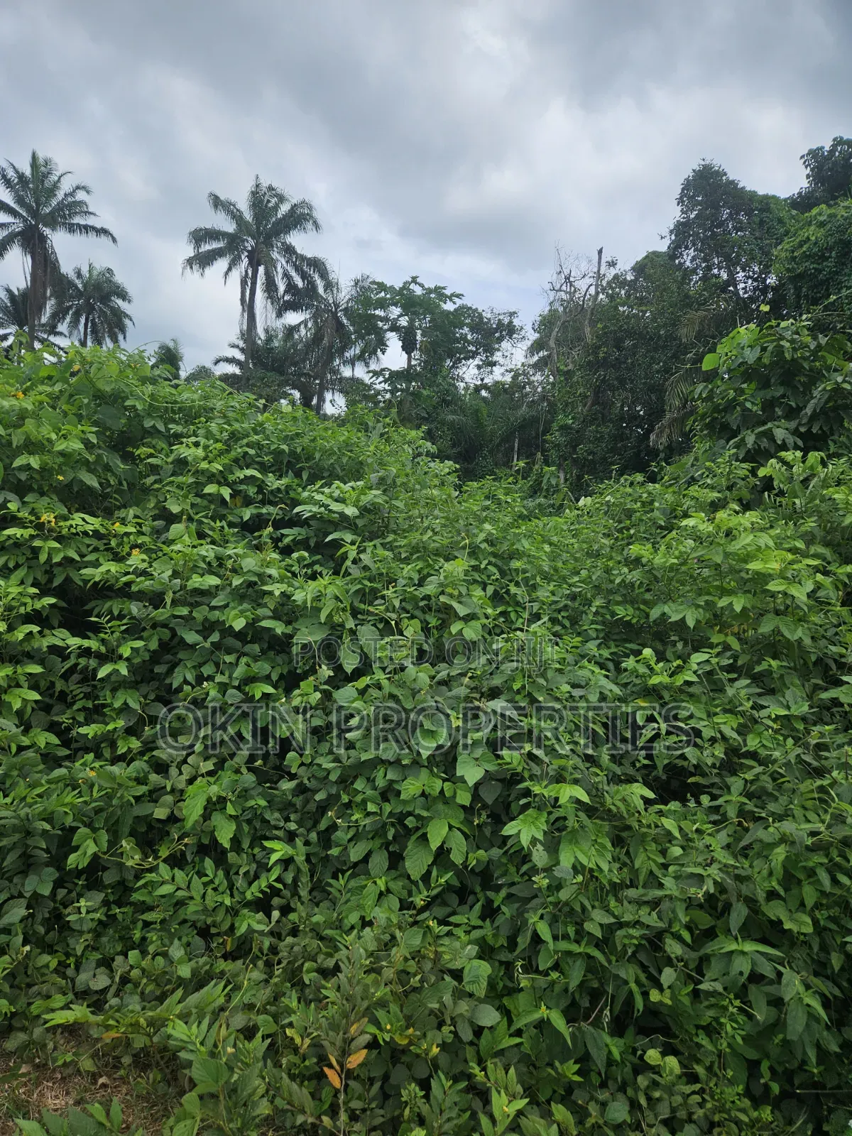 8 Acres of Land at Oore Village