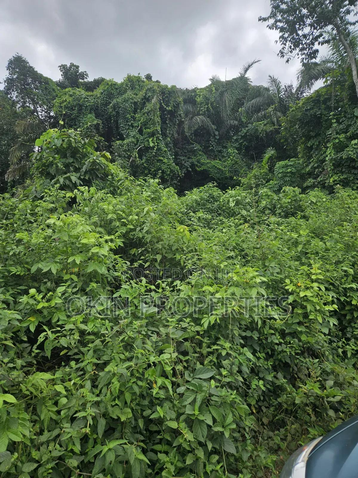 2000 Acres of Land at Faforiji