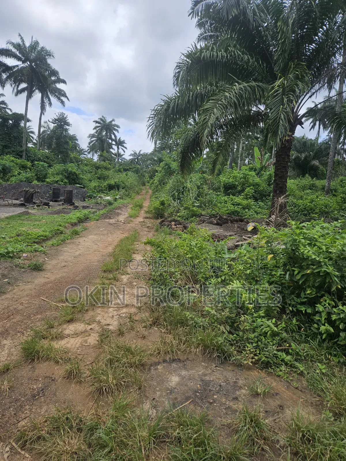 2000 Acres of Land at Faforiji