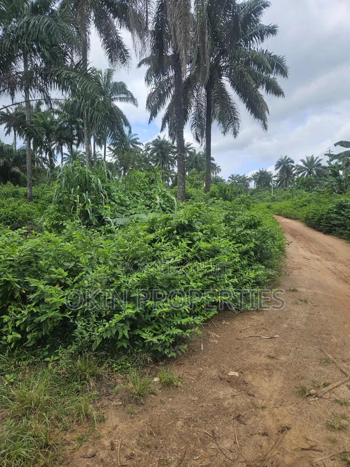 500 Acres at Araromi Okeodo