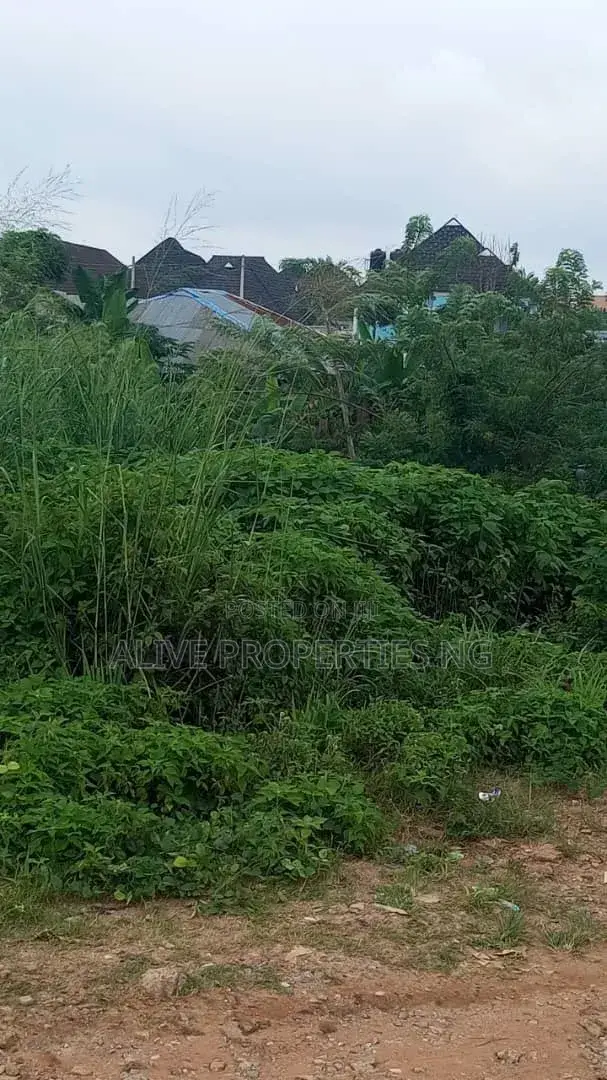 Prime Land for Sale- Olusoji Estate,Oluyole Estate Extension