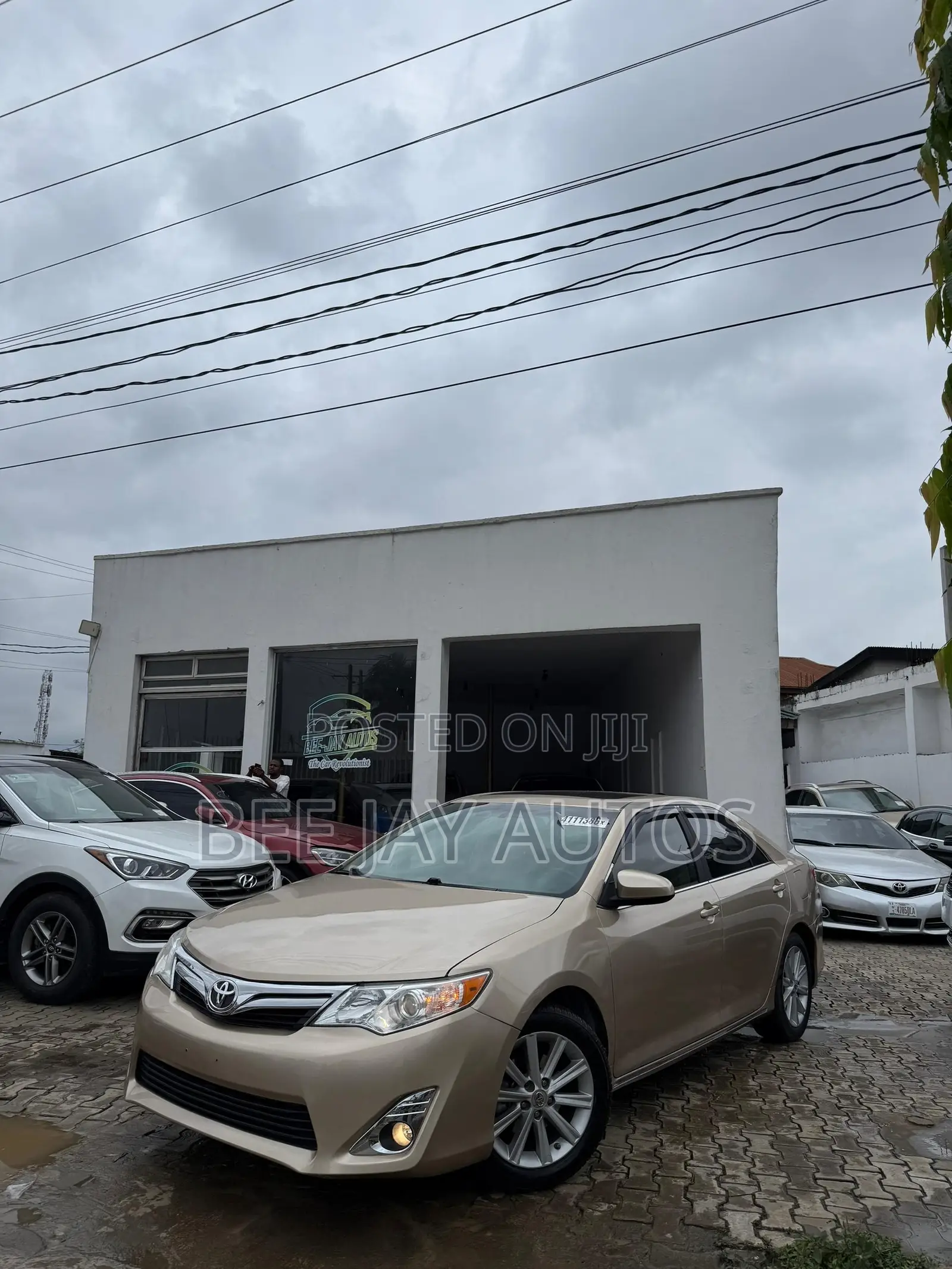 Toyota Camry XLE V6 4dr Sedan (3.5L 6cyl 6A) 2013 Gold
