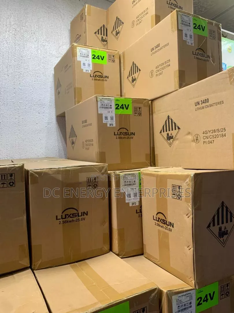 2.5kwh/24v Luxsun Lithium Battery