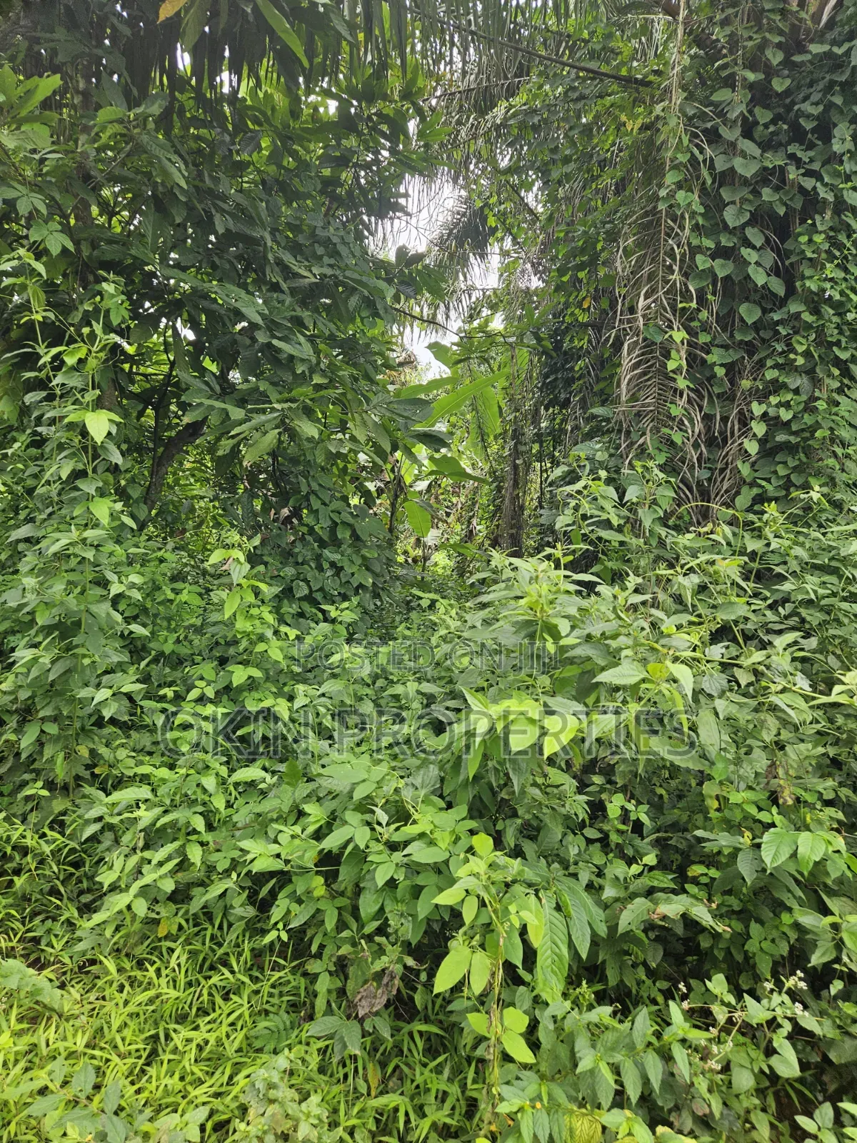 2100 Acres at Agbora Village Along Ikire Iwo Road