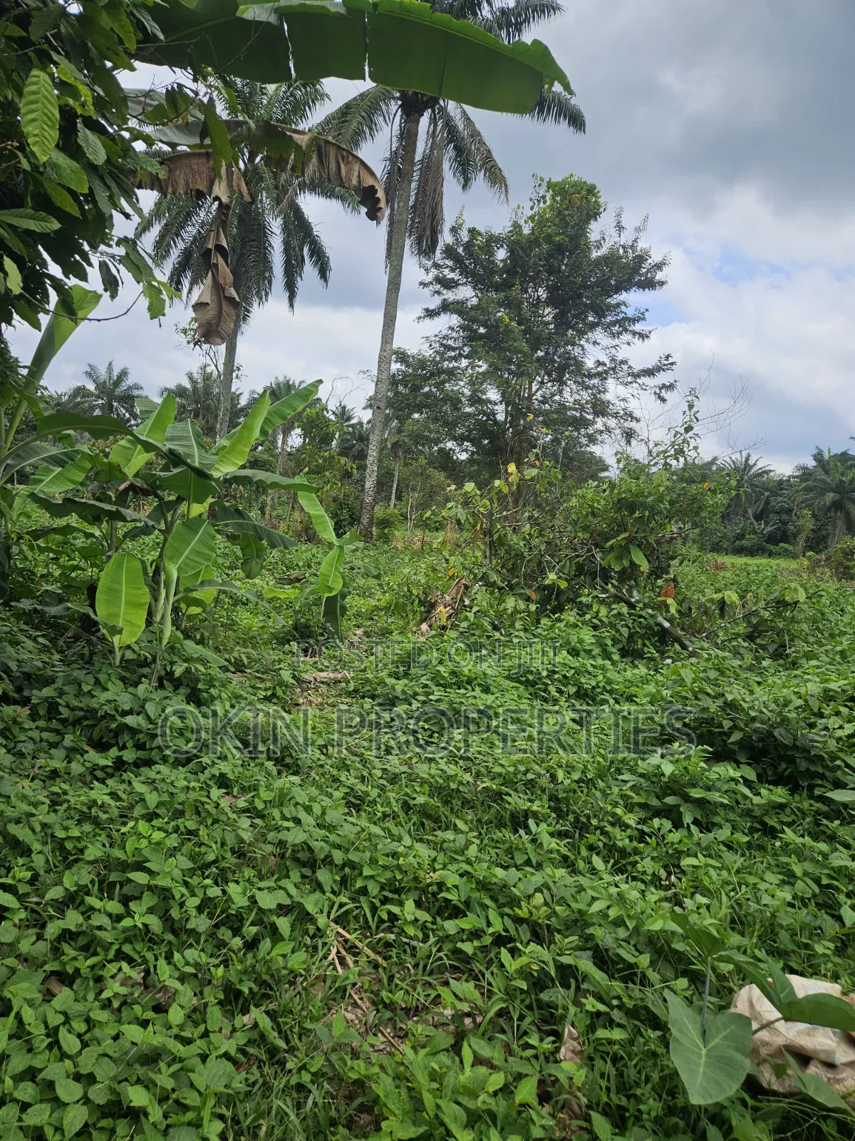 1000 Acres of Virgin Land at Oloode via Ifetedo