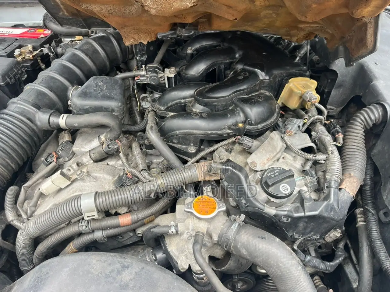 Lexus IS 250 2008 Green