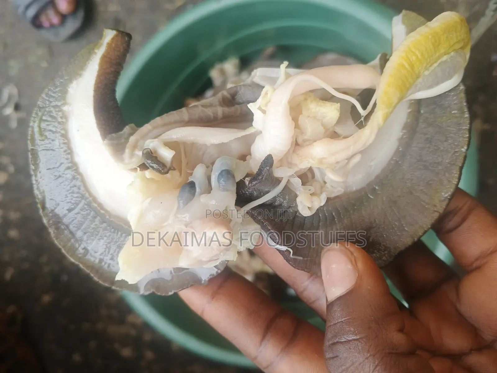 Premium Nigeria Bush Snails Fresh Clean and Meaty