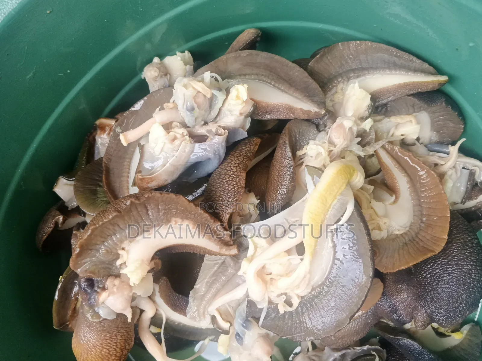Premium Nigeria Bush Snails Fresh Clean and Meaty