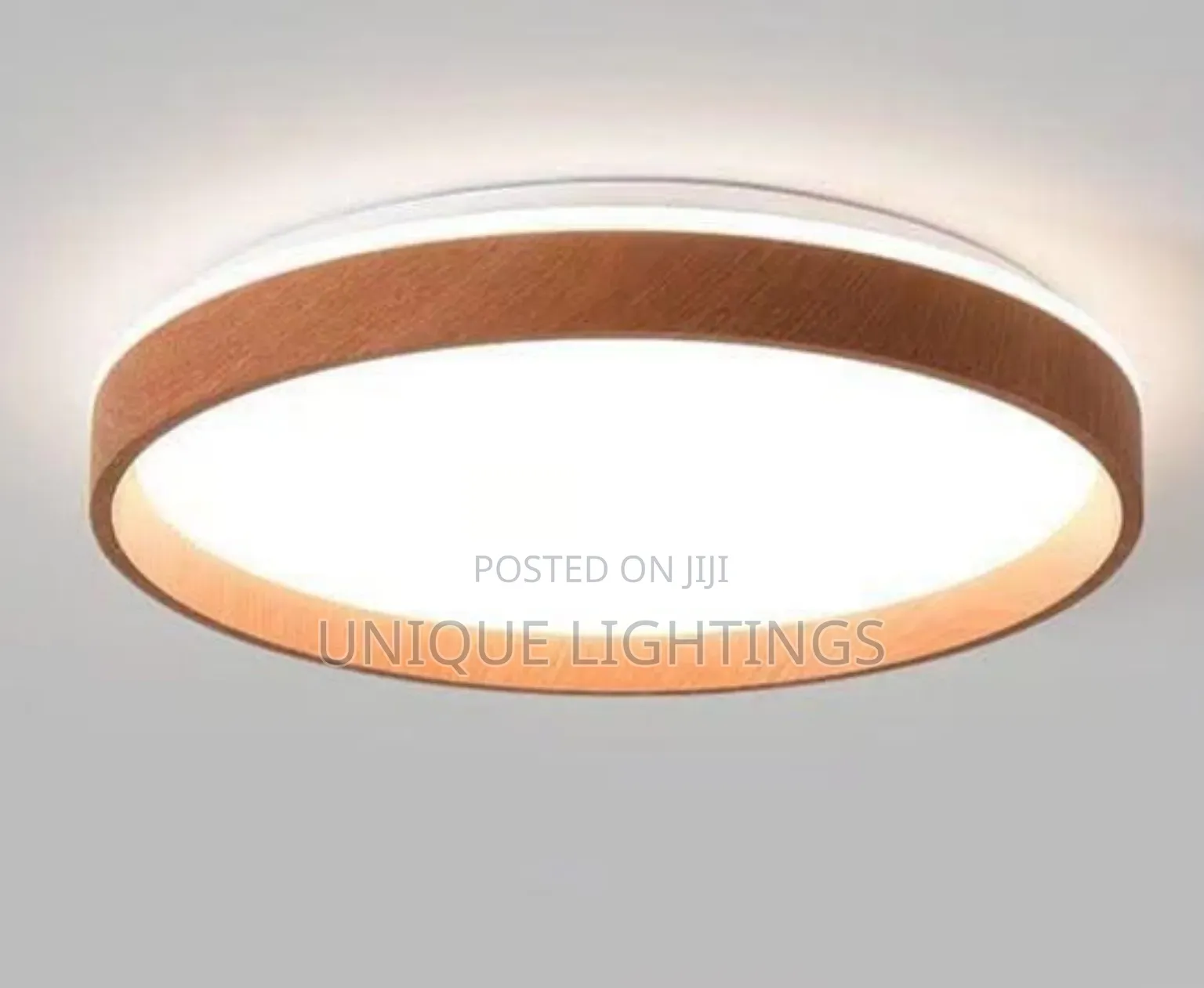 Unique Nordic LED Ceiling LIght