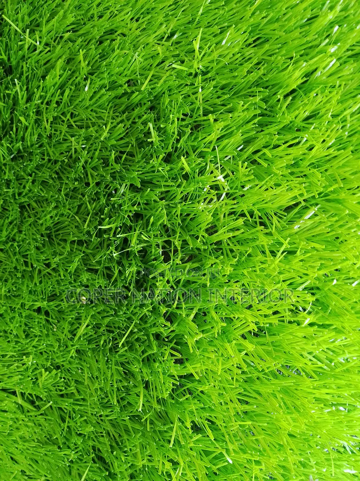 Artificial Grass 50 Mm , Available in Bulk . I Sell Per Square Metre.