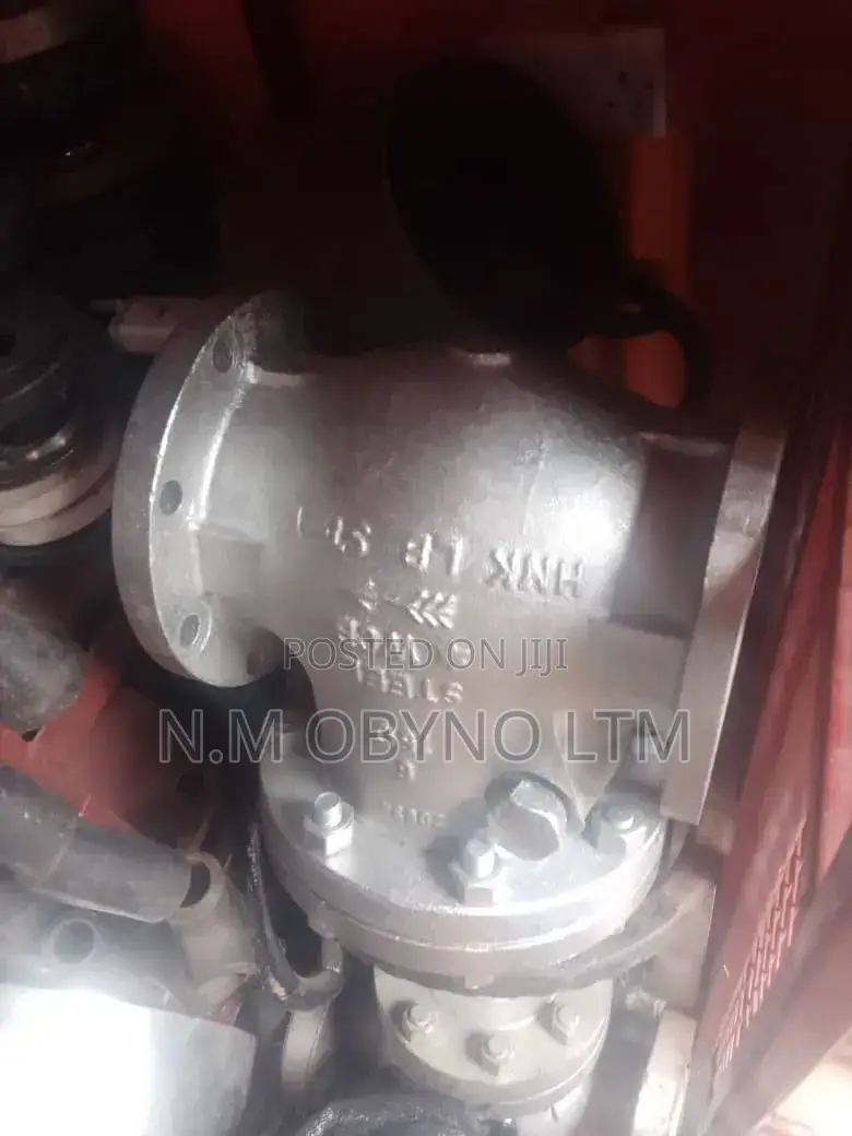 6 X 150 Check Valve