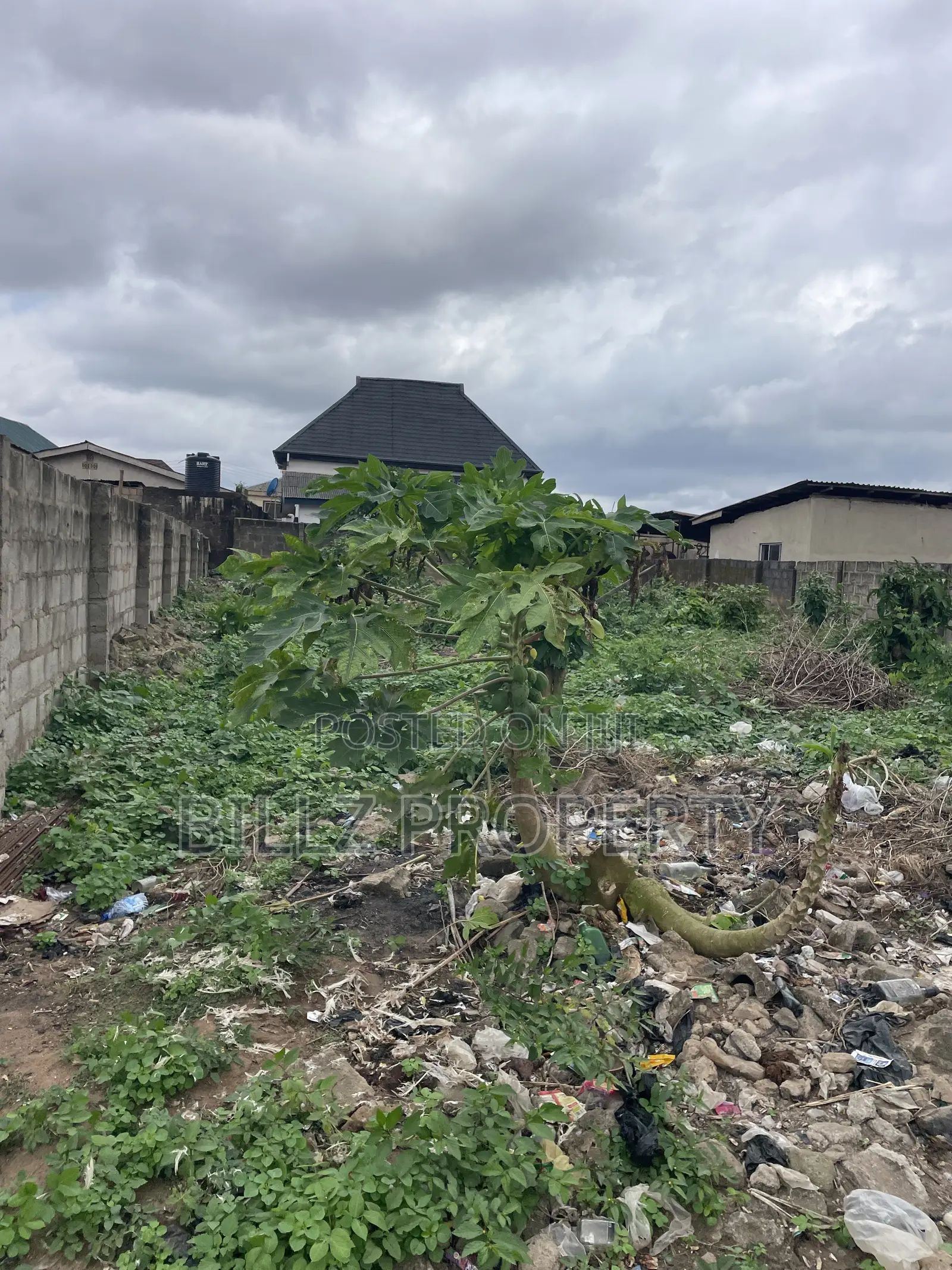 A Standard Half Plot of Land in a Serene and Quiet Environment
