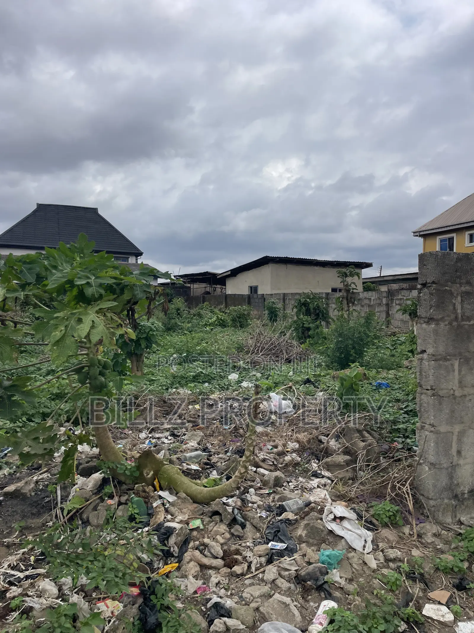 A Standard Half Plot of Land in a Serene and Quiet Environment
