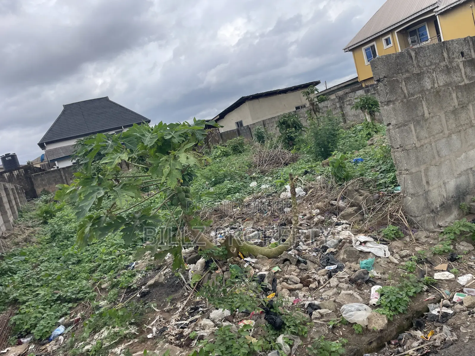 A Standard Half Plot of Land in a Serene and Quiet Environment
