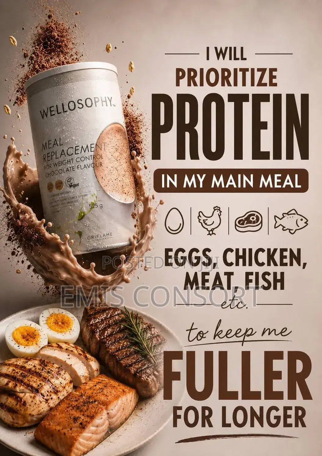 Wellosophy Meal Replacement for Weight Control