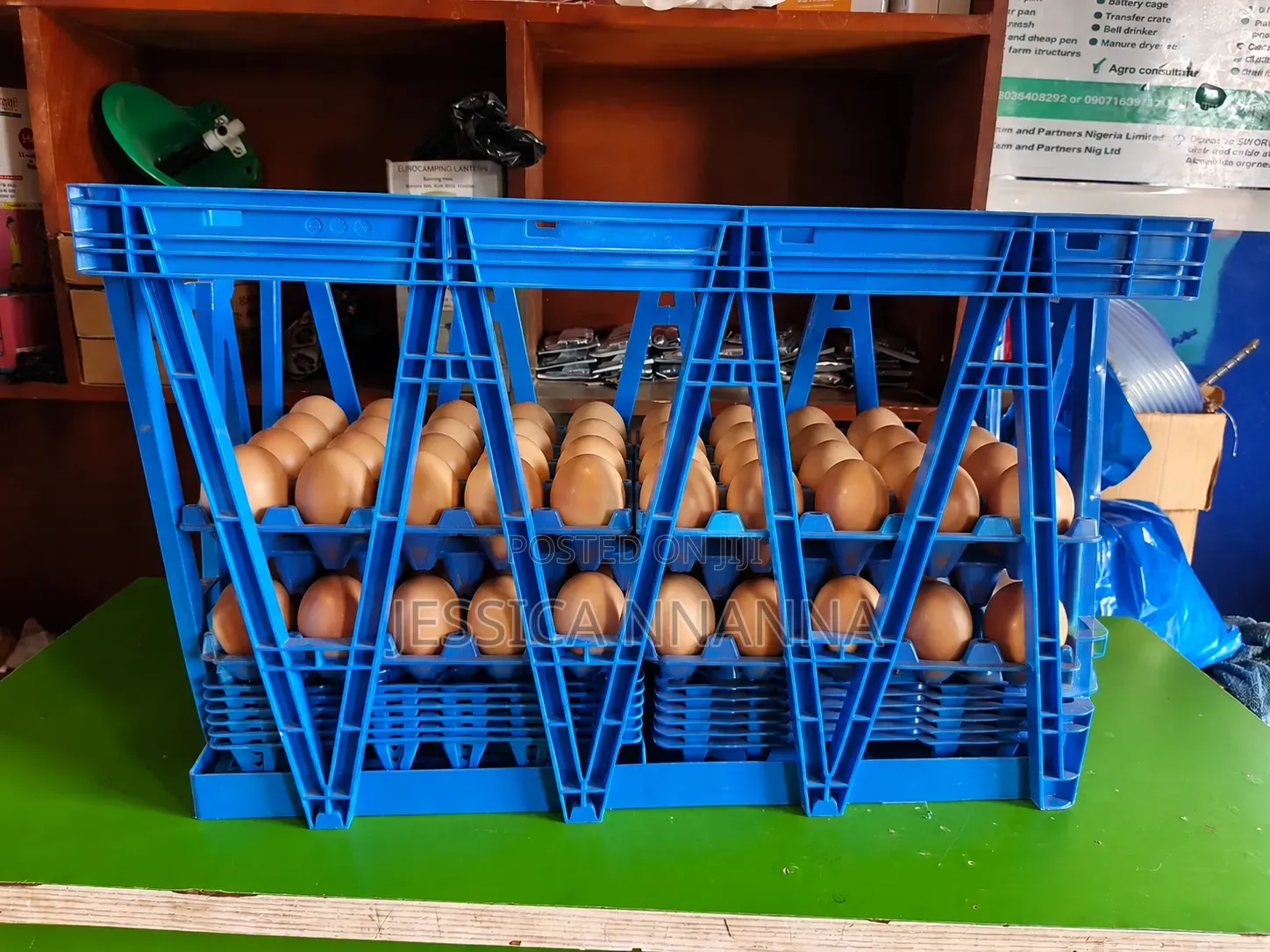 74cm by 46cm Big Egg Transfer Crate
