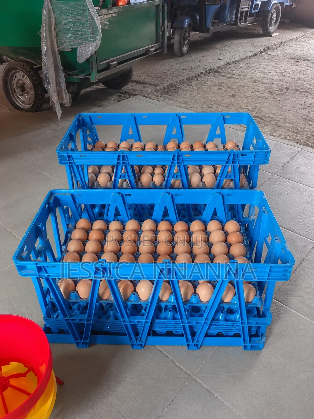 74cm by 46cm Big Egg Transfer Crate