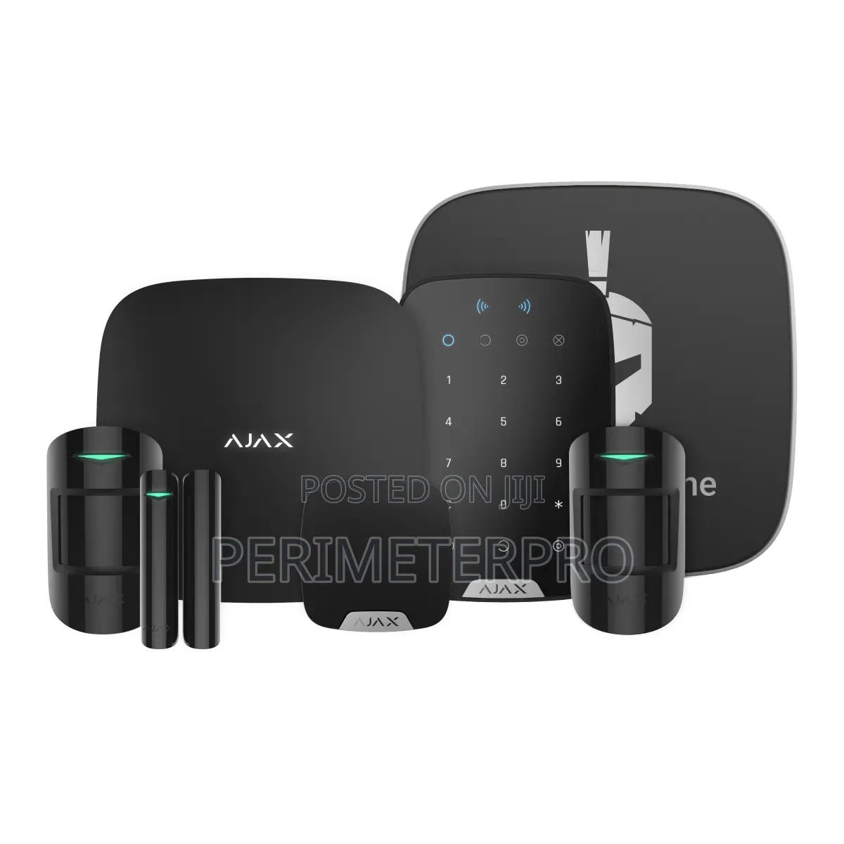Perimeter Intrusion Detection Systems Ajax