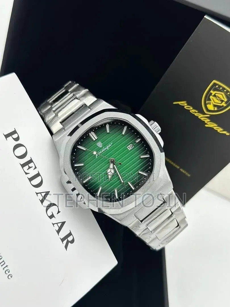 Poedagar Luxury Men's Watch