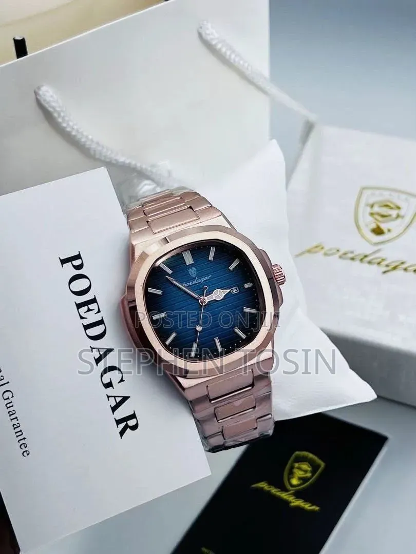 Poedagar Luxury Men's Watch