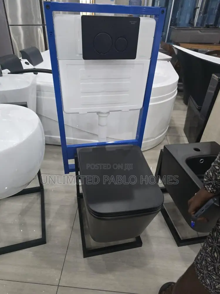 Modern Wall Hung Toilet With Concealed Cistern Frame