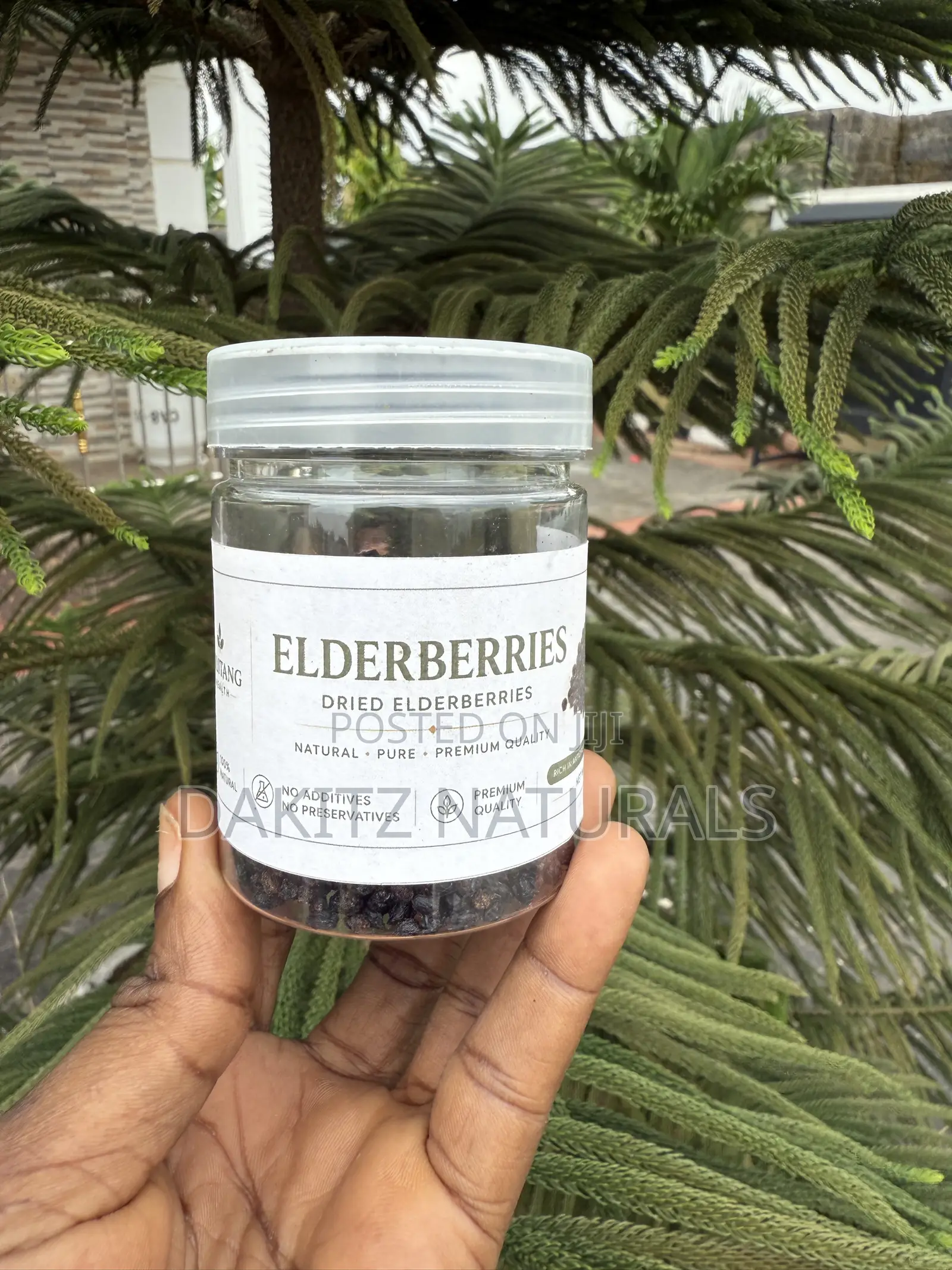 Elderberry Fruits 50g