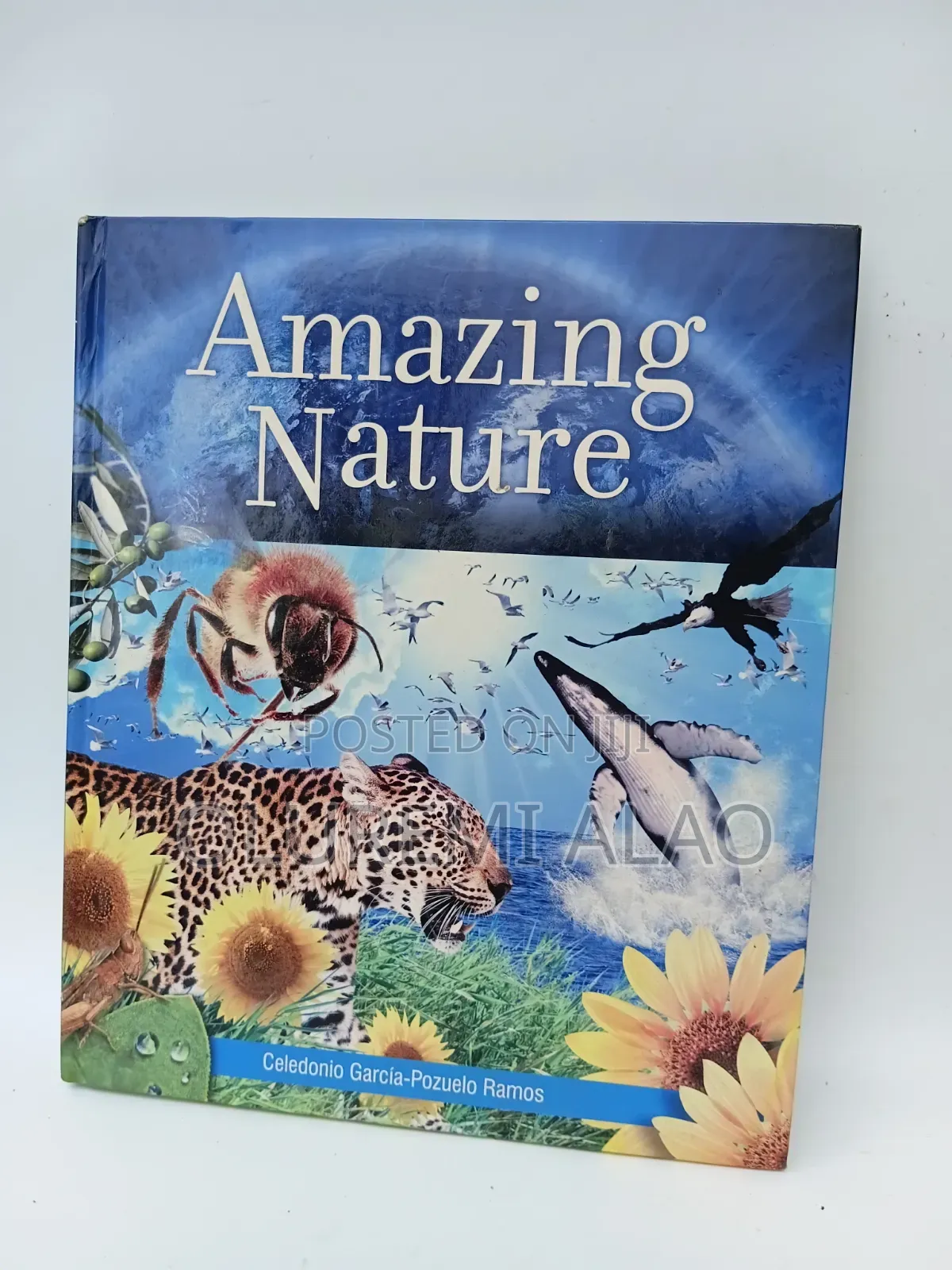 AMAZING NATURE (A Useful Tool to Understand Nature)
