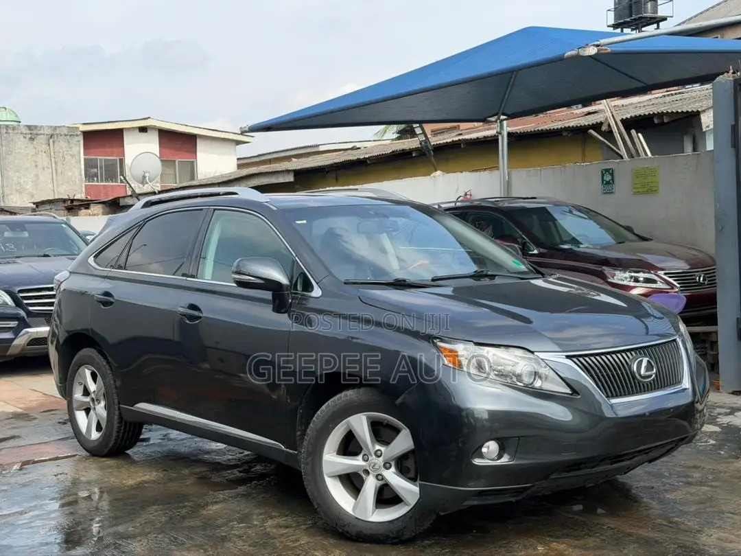 Lexus RX 350 2010 Gray