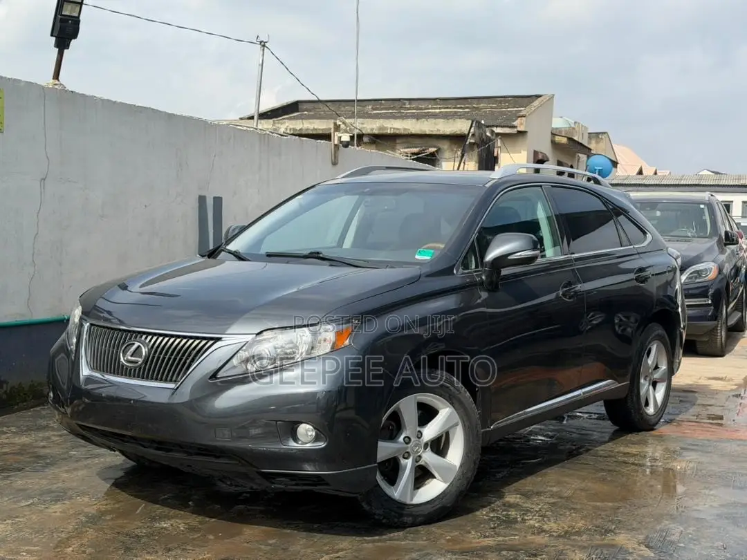 Lexus RX 350 2010 Gray
