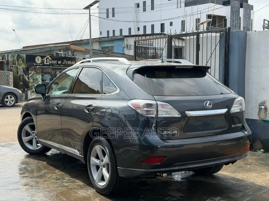Lexus RX 350 2010 Gray