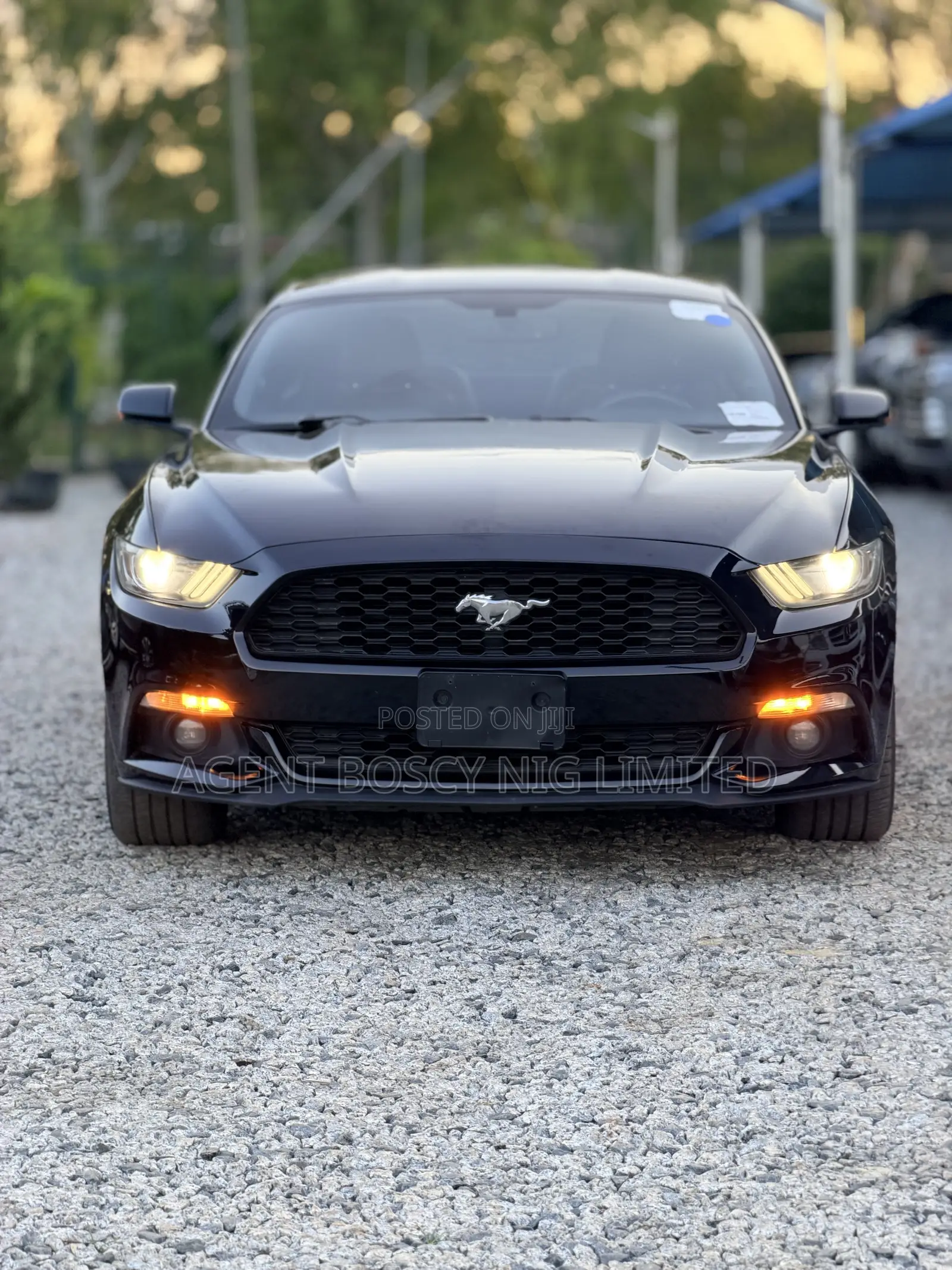 Ford Mustang EcoBoost Premium Fastback 2016 Black