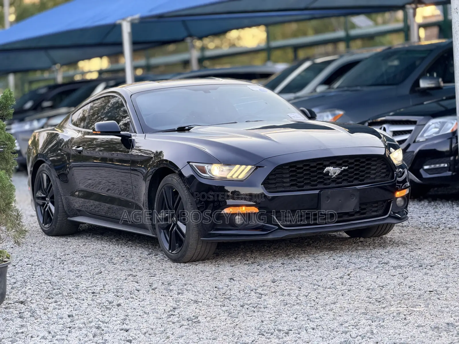 Ford Mustang EcoBoost Premium Fastback 2016 Black