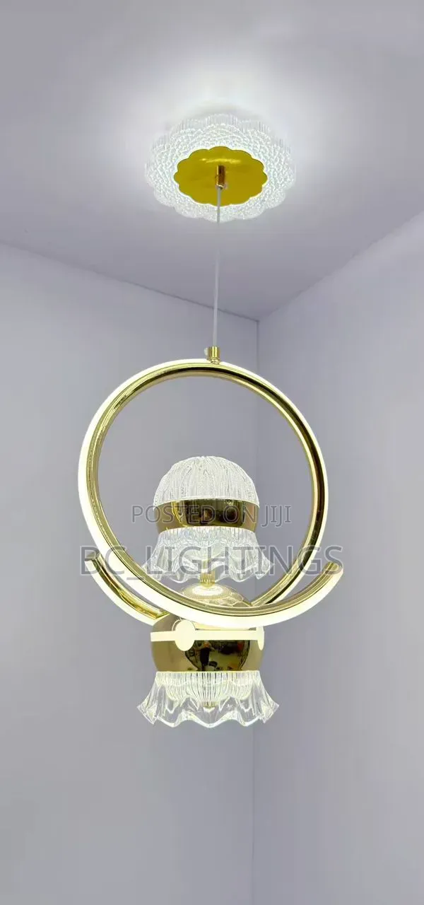 Creative LED  Light  Modern Ceiling Lights  Hanging Lamp