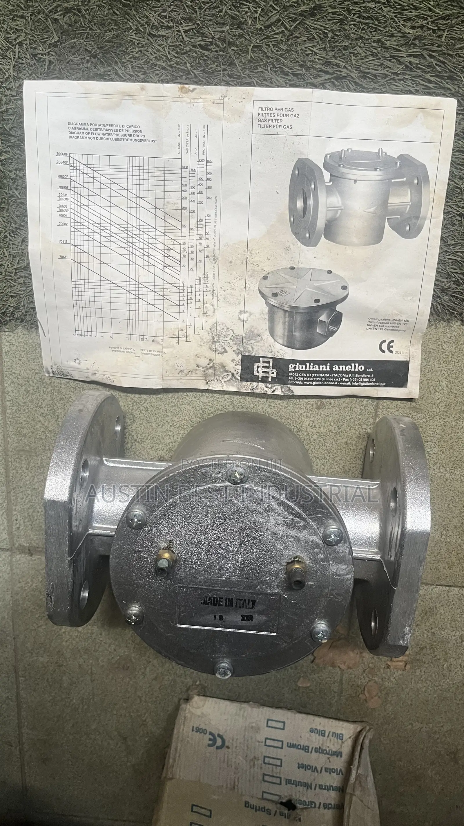 2” Flange Gas Filter